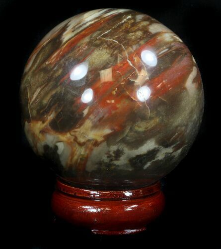 Colorful Petrified Wood Sphere #36968